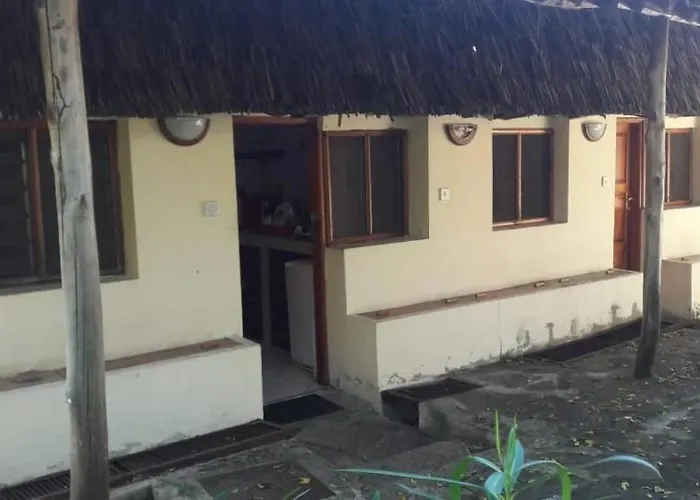 The New Big Tree Beach Resort